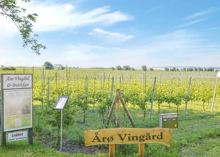 Aro Strandvaenget Ix בית נופש *